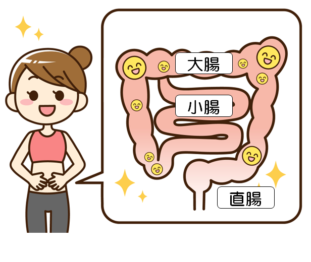 女性と腸